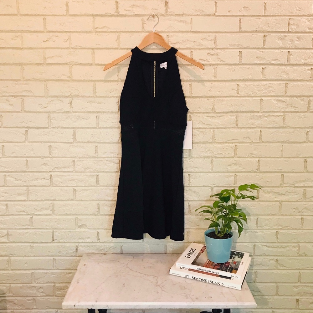 small black dress, Honey and Rosie
